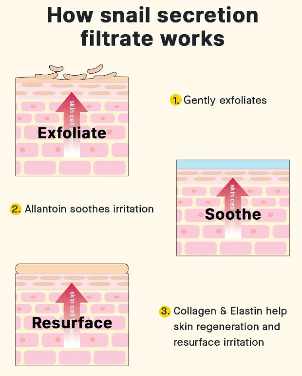 (COSRX) Advanced Snail 92 All in one Cream 100g