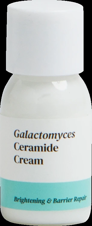 (4PM) Skin Care Mini Travel Kit